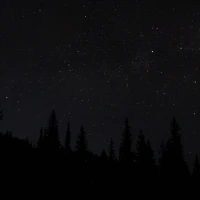 Guide to making chipotle black beans on wooden table. Guide to making chipotle black beans on wooden table.