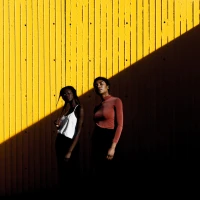 Making New England lobster rolls in a sunny home kitchen. Making New England lobster rolls in a sunny home kitchen.