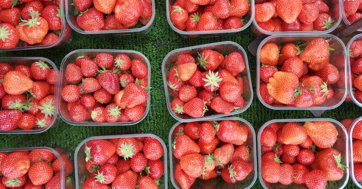 Guide to preserving strawberries for year-round sweetness