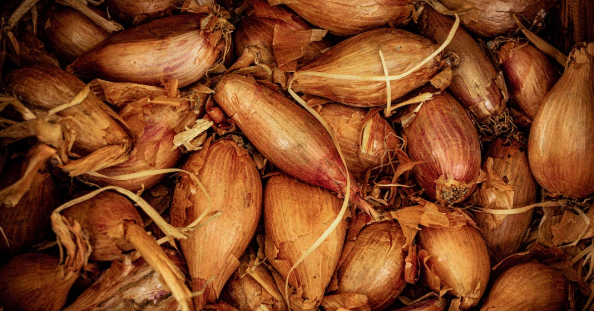 Sherry shallot dressing on salad, enhancing flavor profiles.
