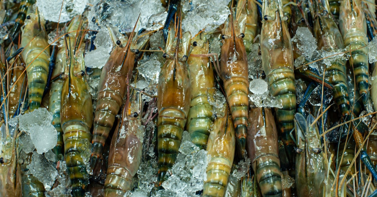 Shrimp Tempura Roll on Plate with Calorie Info