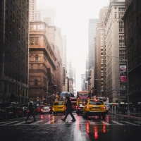 Bicycle brakes squeaking explained with solutions. Bicycle brakes squeaking explained with solutions.