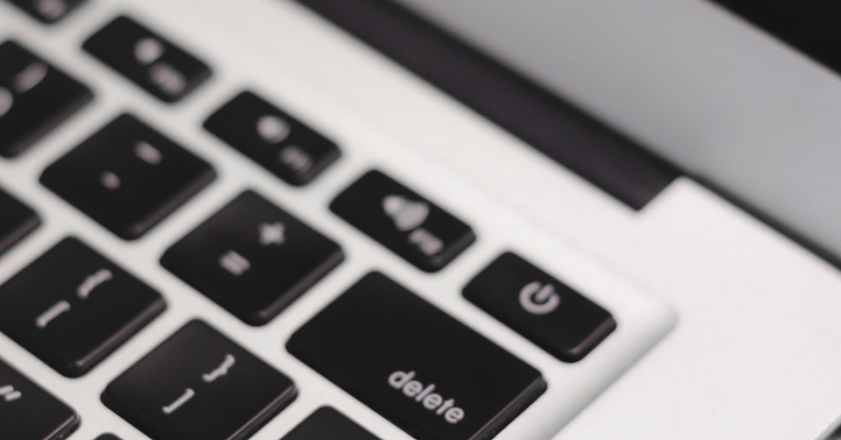 Silver Laced Sussex Chicken in Natural Farm Environment