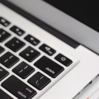 Silver Laced Sussex Chicken in Natural Farm Environment Silver Laced Sussex Chicken in Natural Farm Environment