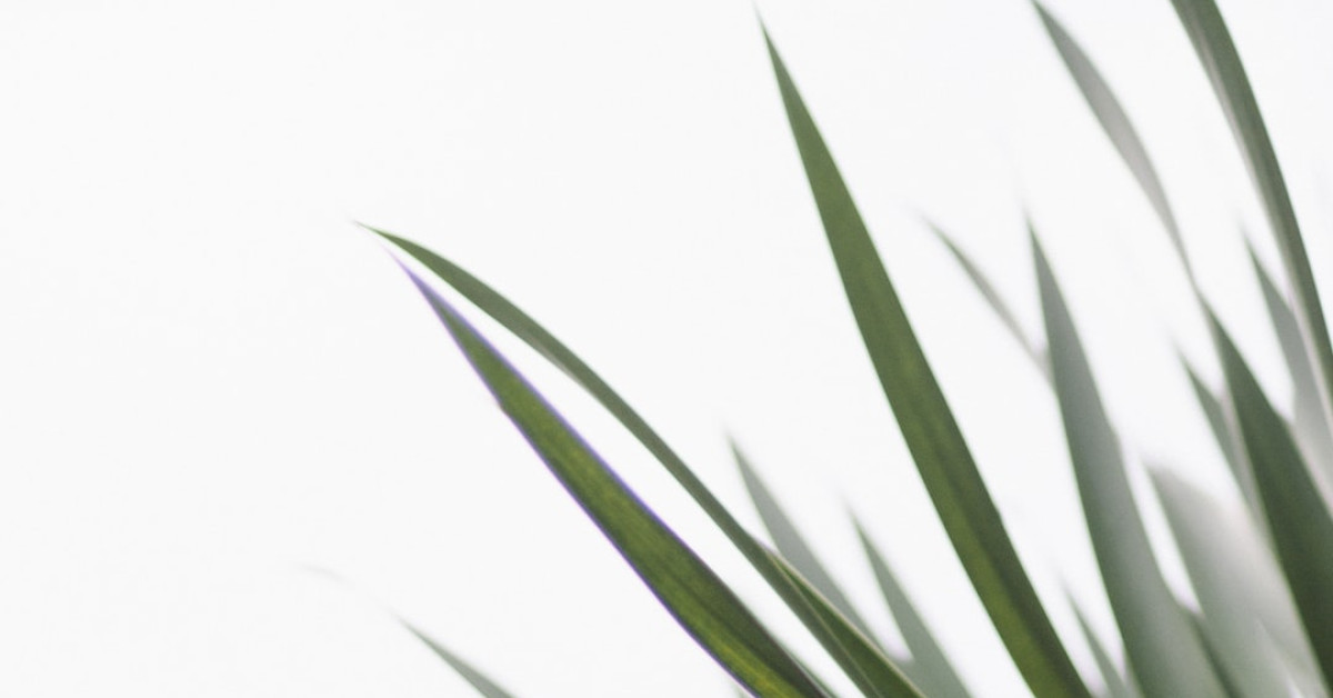 Richmond KY's smoothie coffee guide illustration.