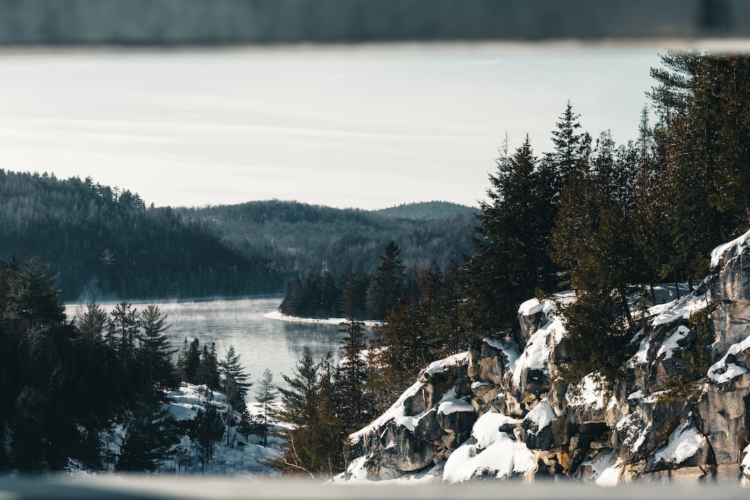 Low-calorie Dunkin' drinks for a healthy lifestyle.