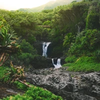 Jungle juice cocktail with vibrant colors and tropical garnishes. Jungle juice cocktail with vibrant colors and tropical garnishes.