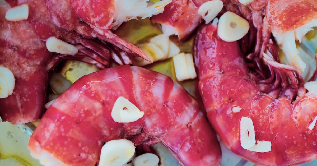 Ninja Foodi Grill recipes compilation for tasty dishes.