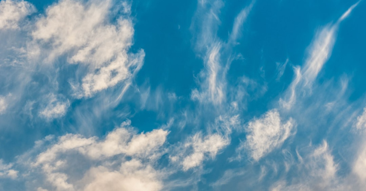 Air Fryer Perfect Checkers Frozen Fries Snack