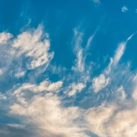 Air Fryer Perfect Checkers Frozen Fries Snack Air Fryer Perfect Checkers Frozen Fries Snack