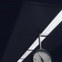 Grilled chicken thighs with colorful vegetable side dishes Grilled chicken thighs with colorful vegetable side dishes