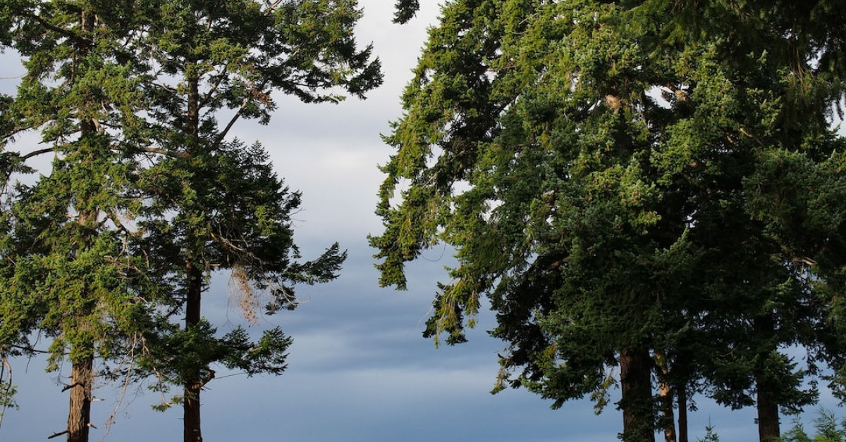 Comparison of Skyrim Special vs. Anniversary Edition features.