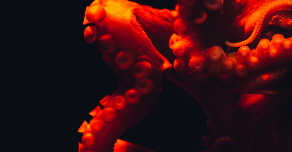 Snorkeling tips and tricks: Dive safely and explore underwater.