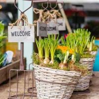 Fresh spring roll bowl with colorful vegetables and sauce. Fresh spring roll bowl with colorful vegetables and sauce.