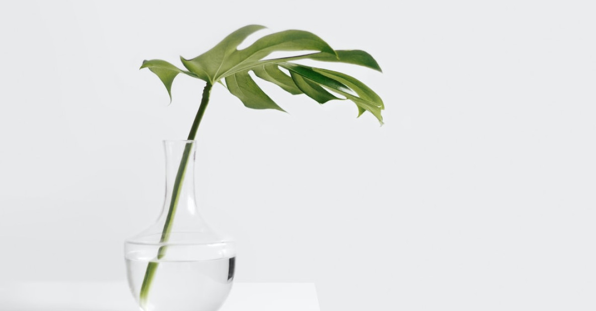 Steffiana de la Cruz and Kevin James posing together.