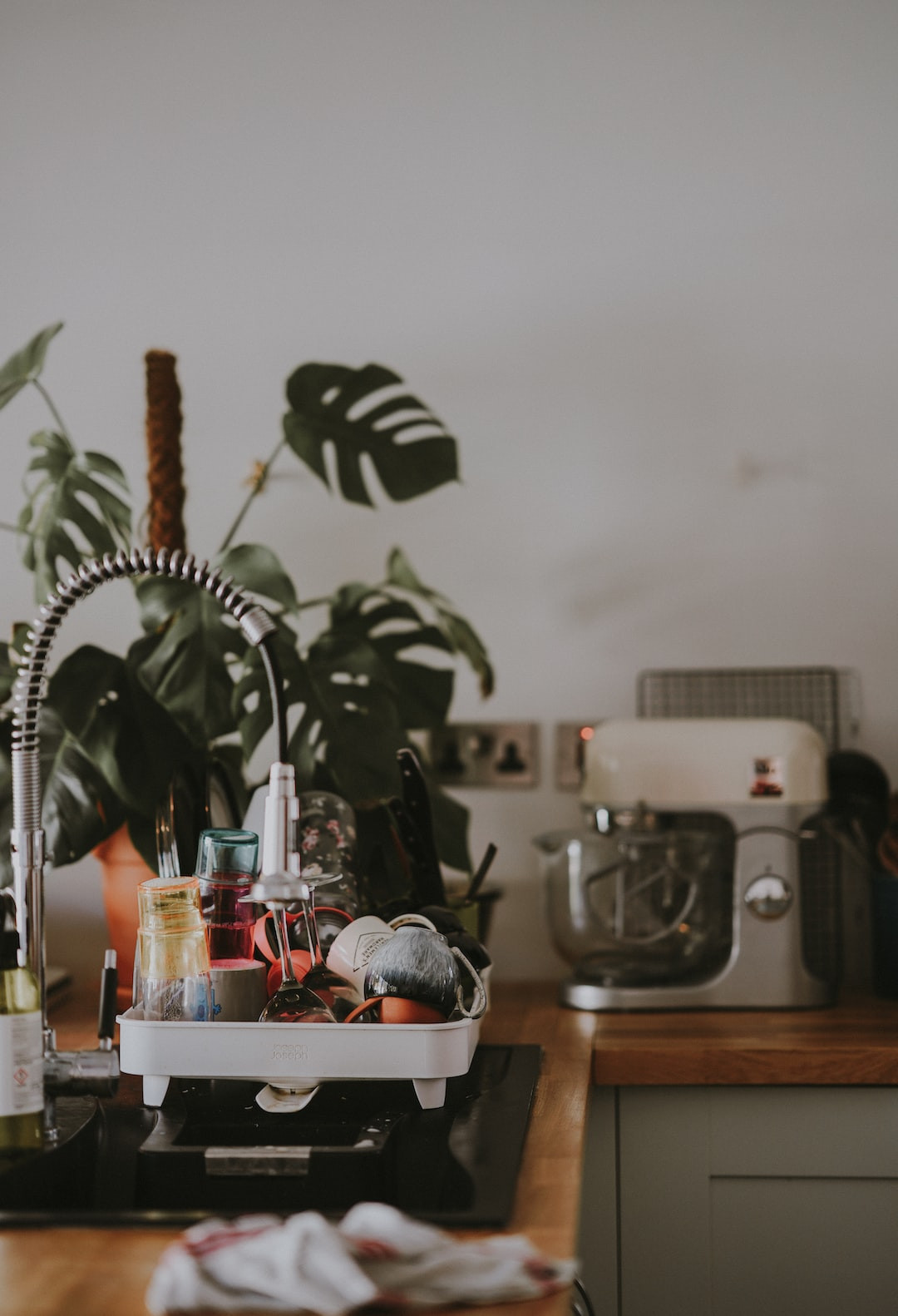 Mouthwatering dishes at organic farm-to-table restaurants.