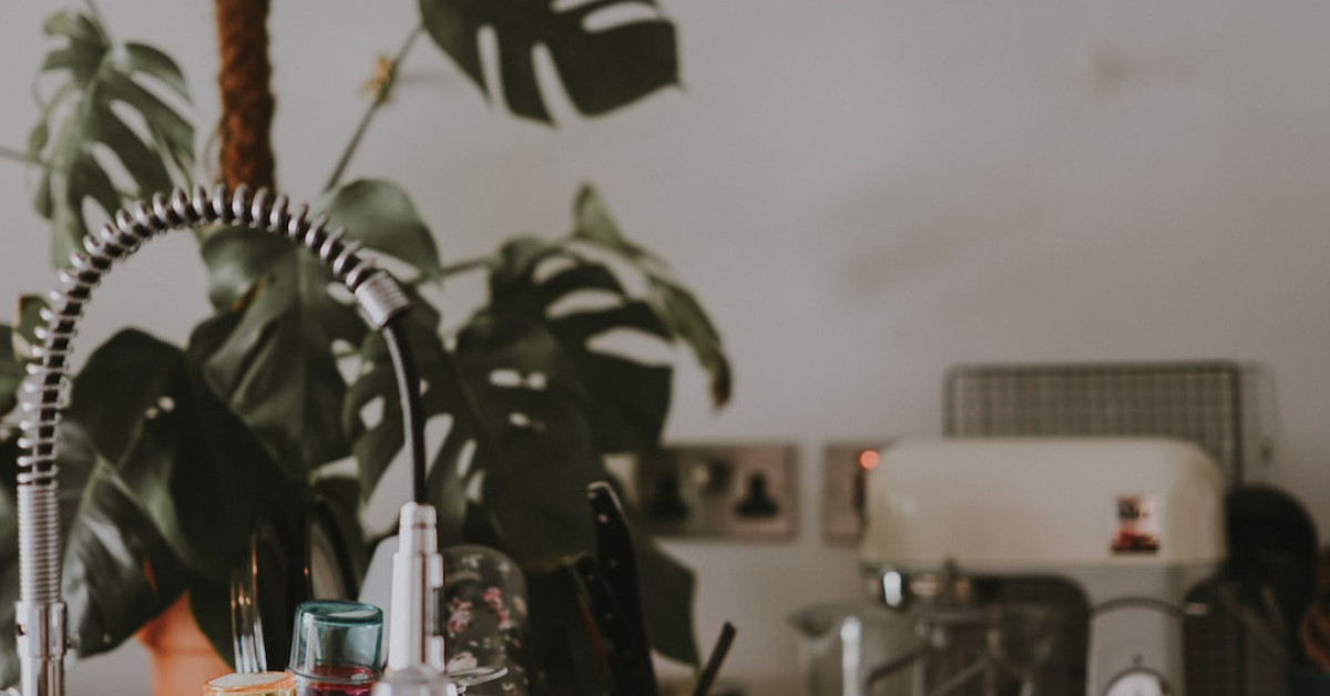 Mouthwatering dishes at organic farm-to-table restaurants.