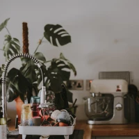 Mouthwatering dishes at organic farm-to-table restaurants. Mouthwatering dishes at organic farm-to-table restaurants.