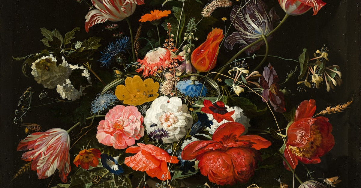 The Art of Free Diving - Master Techniques for Serenity