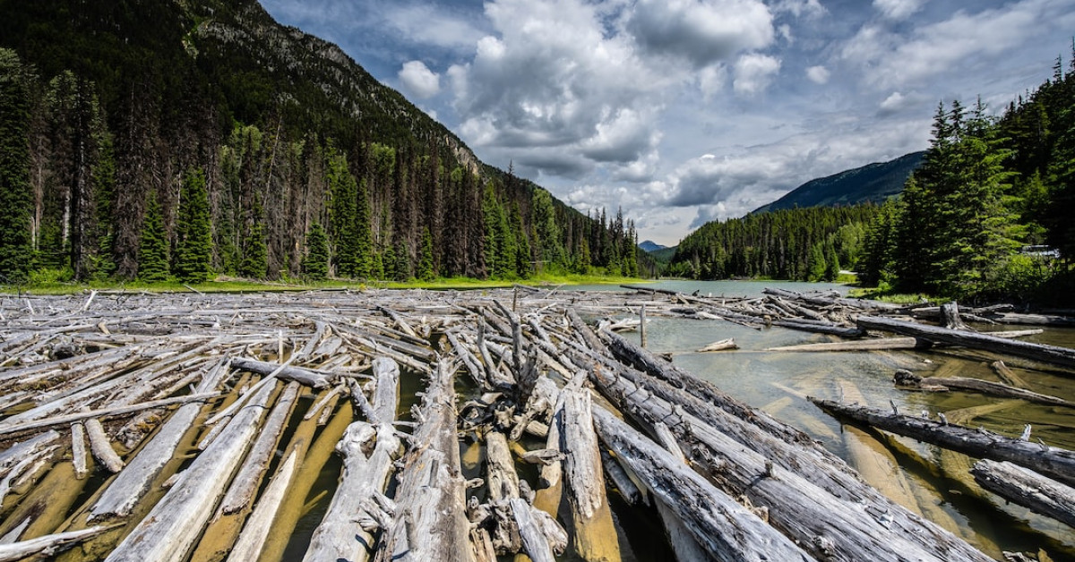 The Enigmatic Jasper Breckenridge Johnson: Unveiling Don Johnson's Son