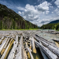 The Enigmatic Jasper Breckenridge Johnson: Unveiling Don Johnson's Son The Enigmatic Jasper Breckenridge Johnson: Unveiling Don Johnson's Son