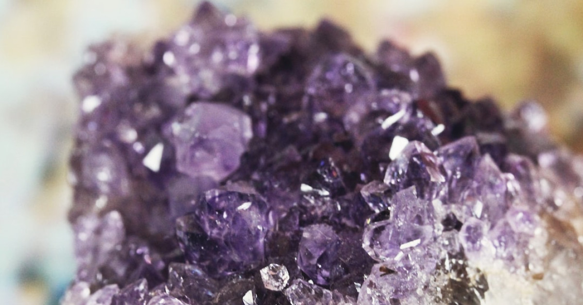 Best sustainable agriculture practices: Farm-to-table revolution