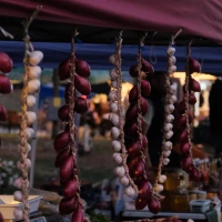 Crispy fried onion strings appetizer on white plate. Crispy fried onion strings appetizer on white plate.