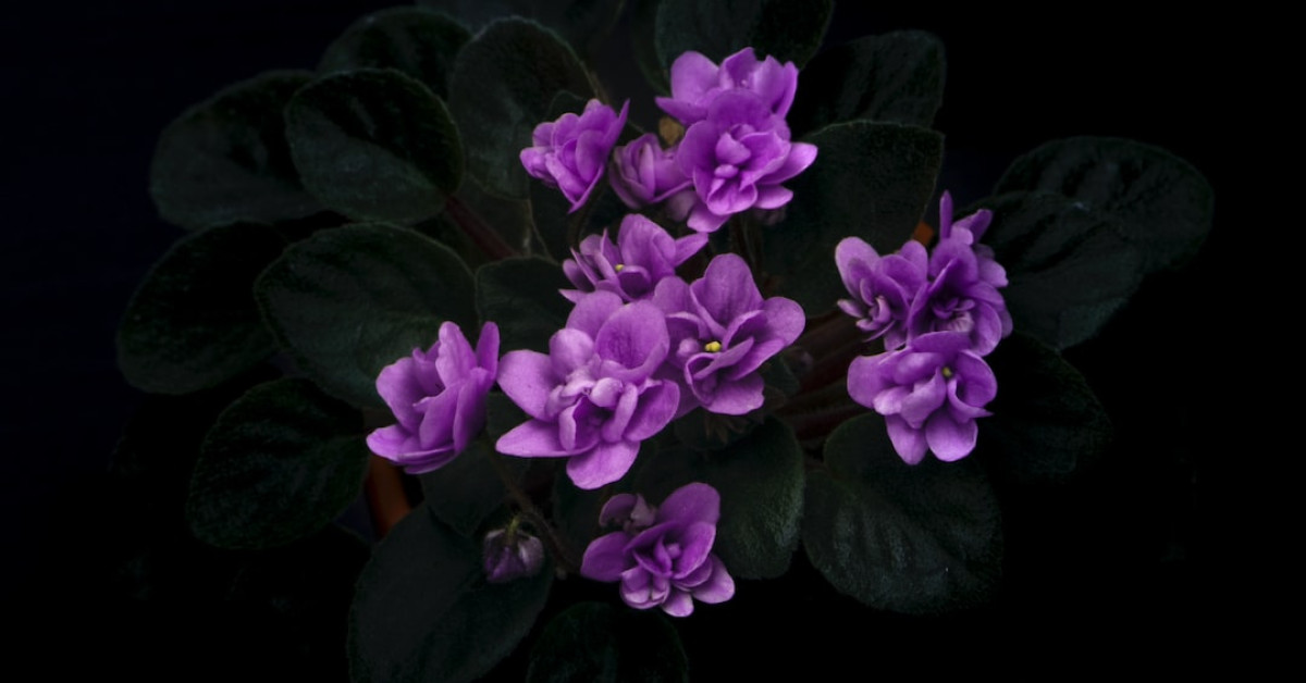 Eric Forrester exits in dramatic Bold and Beautiful finale.