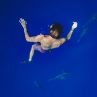 Survivor swims away from underwater Demogorgon monster. Survivor swims away from underwater Demogorgon monster.