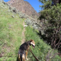 Guide to Perfect Salmon Internal Temperature Cooking Chart Guide to Perfect Salmon Internal Temperature Cooking Chart