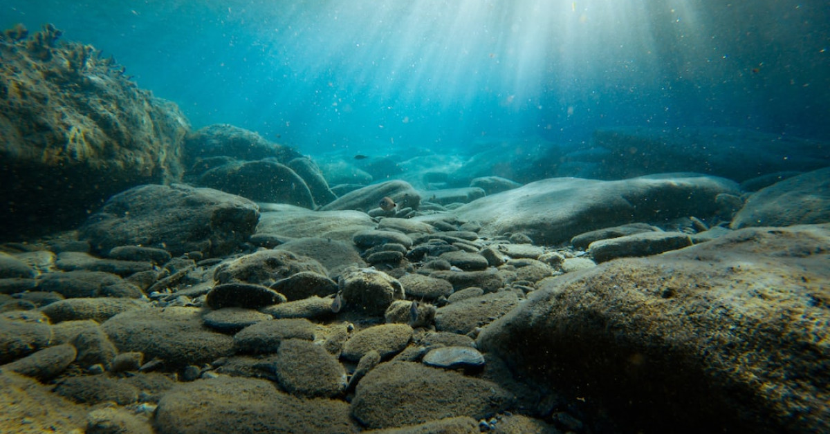 Ultimate guide to underwater diving- complete information & tips.