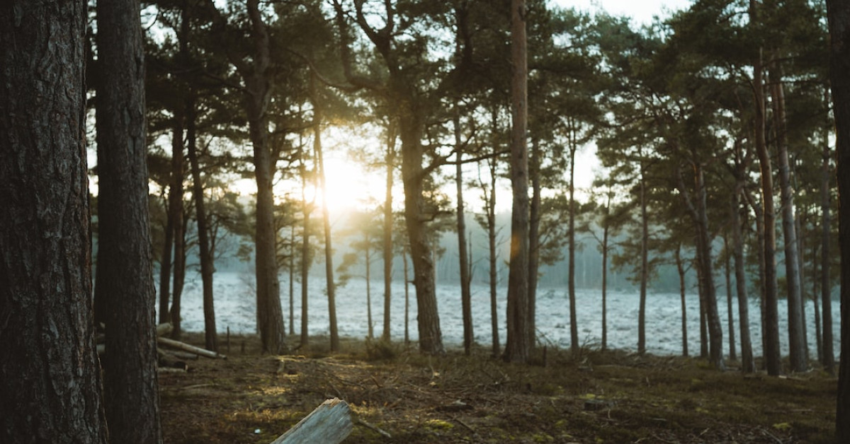 The Ultimate Guide to Wood Anniversary Gifts for Him