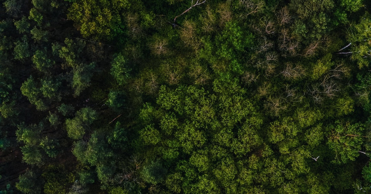 Debate over unethical entertainment aspects