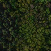 Debate over unethical entertainment aspects Debate over unethical entertainment aspects