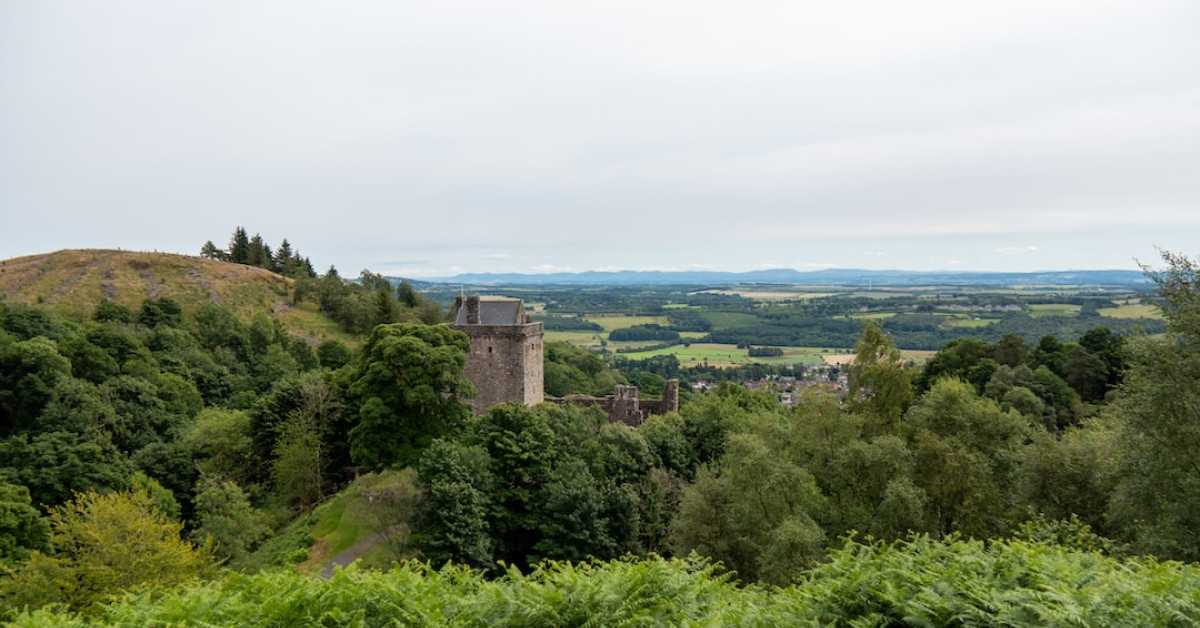 Healthy veggie silver dollar pancakes on a white plate.