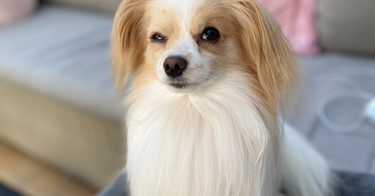 Couple sharing a laugh with funny wedding quotes backdrop.