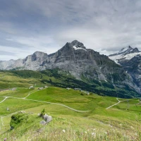 Best beginner bicycles buying guide illustration Best beginner bicycles buying guide illustration