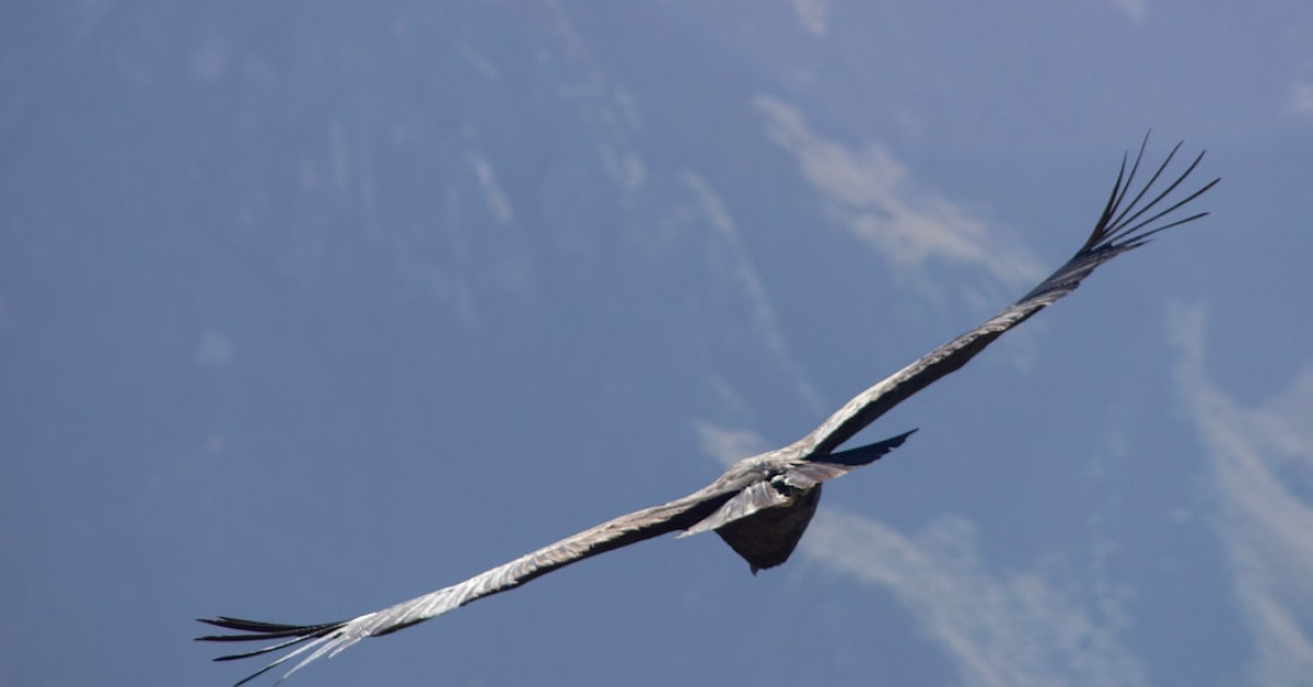 Vegetables tossed in garlic parmesan sauce for tasty side dish.