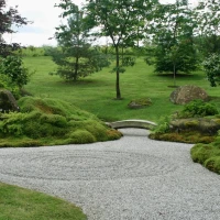 Vegetarian dish upgraded with crispy, caramelized millionaire's bacon. Vegetarian dish upgraded with crispy, caramelized millionaire's bacon.