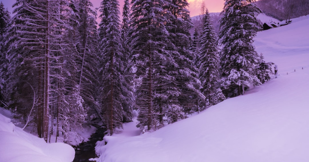 Trekking and Hiking Path Intersection Sign in Nature.