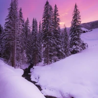 Trekking and Hiking Path Intersection Sign in Nature. Trekking and Hiking Path Intersection Sign in Nature.
