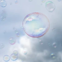 Delicious air fryer tuna melt on plate with herbs. Delicious air fryer tuna melt on plate with herbs.