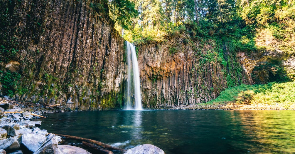 Oregon dumpster diving legality and urban foraging guidelines image.