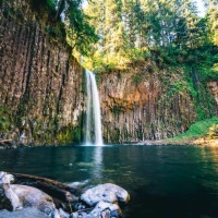 Oregon dumpster diving legality and urban foraging guidelines image. Oregon dumpster diving legality and urban foraging guidelines image.