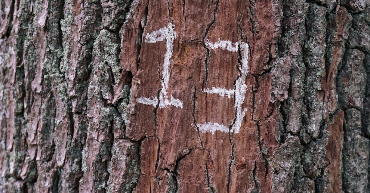 13 Fascinating Dive Sites for the Adventurous - Image