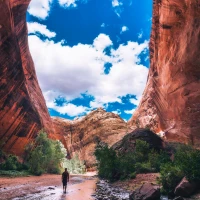 Hoka Anacapa Mid GTX hiking boots on rocky trail. Hoka Anacapa Mid GTX hiking boots on rocky trail.