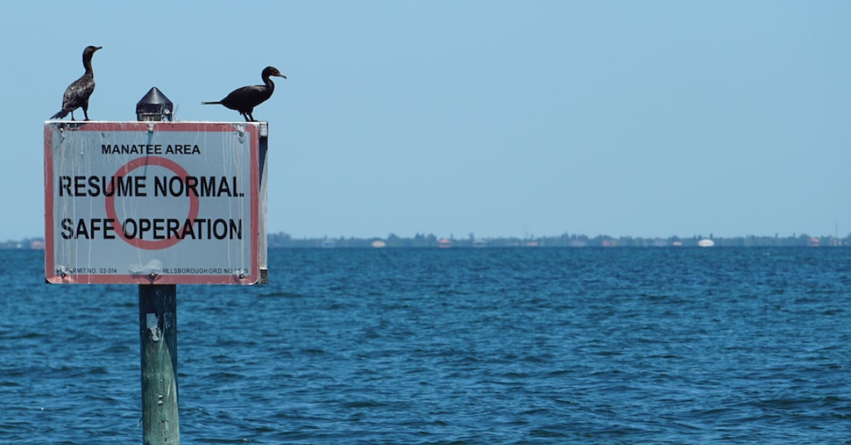 Florida Dumpster Diving Guide Book Cover