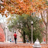 Is Dumpster Diving Illegal in Tennessee Infographic. Is Dumpster Diving Illegal in Tennessee Infographic.