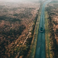 Guide to efficiently chopping leeks like a professional chef. Guide to efficiently chopping leeks like a professional chef.