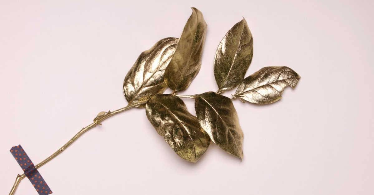 Australian Gold tanning bed lotion for a perfect sunless tan.